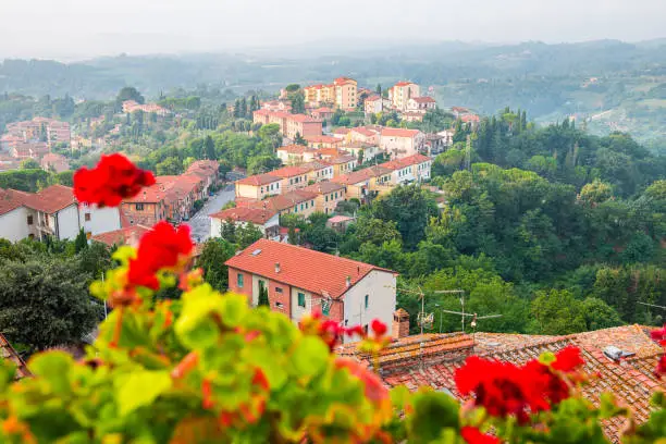 Chiusi Scalo houses in Tuscany, Italy town cityscape and red geranium flowers in garden foreground on building terrace patio landscape view