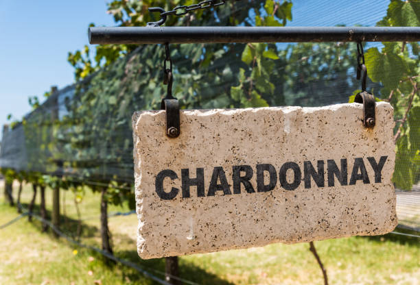 signo de vino de uva chardonnay en el fondo de las plantas de vid en un viñedo - ripened on the vine fotografías e imágenes de stock