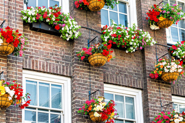 istock Flower box colorful decorations on windows summer day with brick architecture in London, UK neighborhood district of Kensington 1220858552