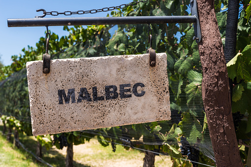 Sign of Malbec grape wine against the background of vine plants in a vineyard