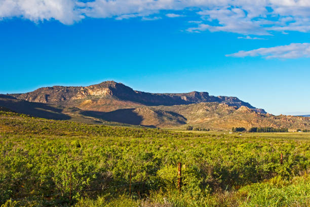 paisagem das montanhas e nuvens de gifberg - gifberg - fotografias e filmes do acervo