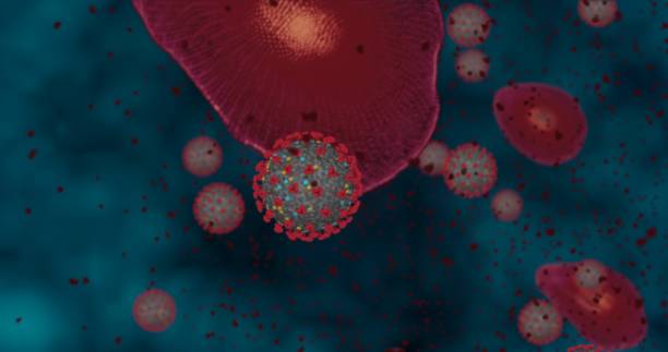 alta concentração doença coronavírus covid-19. grupo de animação de vírus e glóbulos vermelhos fecham. ilustração 3d de renderização 3d - hiv cell human cell retrovirus - fotografias e filmes do acervo