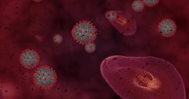 alta concentração doença coronavírus covid-19. grupo de animação de vírus e glóbulos vermelhos fecham. ilustração 3d de renderização 3d - hiv cell human cell retrovirus - fotografias e filmes do acervo