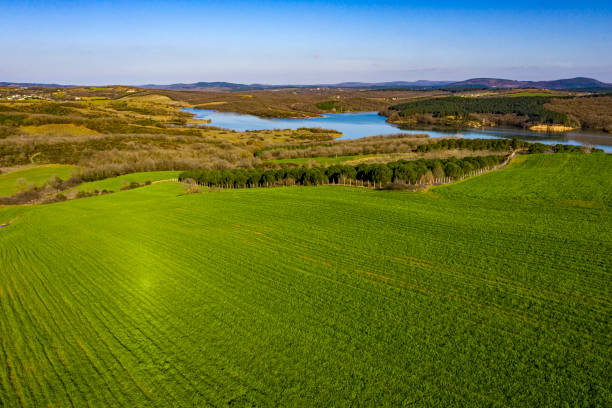 istock Beautiful wheat field in Tekirdag near the river 1220861450