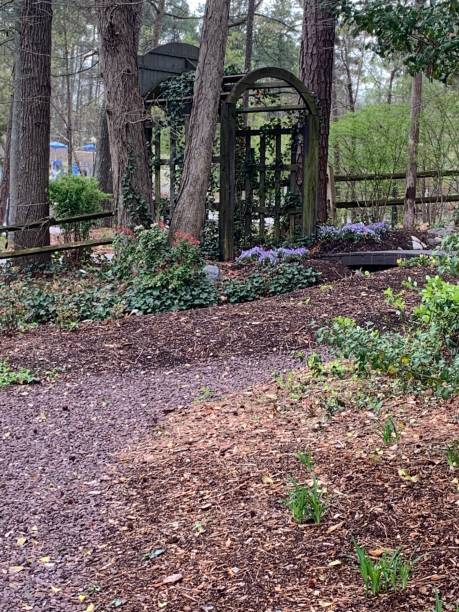 istock Garden living 1220862950