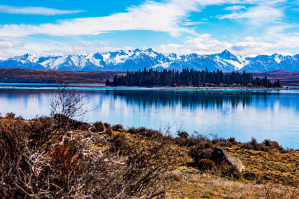 istock An Island of Trees on Lake Tekapo in Spring 1220863268