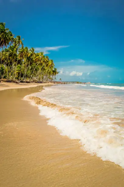 Photo of Beaches of Brazil - Carneiro Beach, Tamandare city, Pernambuco state.