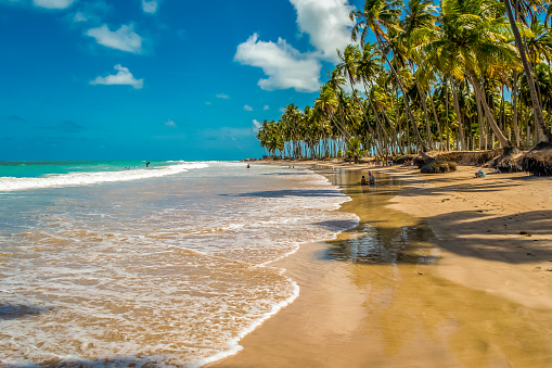 Carneiros beach is located in the municipality of Tamandaré, south coast of the state of Pernambuco. It is considered one of the most beautiful in Brazil.