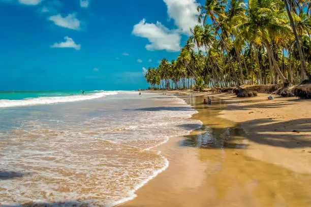 Carneiros beach is located in the municipality of Tamandaré, south coast of the state of Pernambuco. It is considered one of the most beautiful in Brazil.
