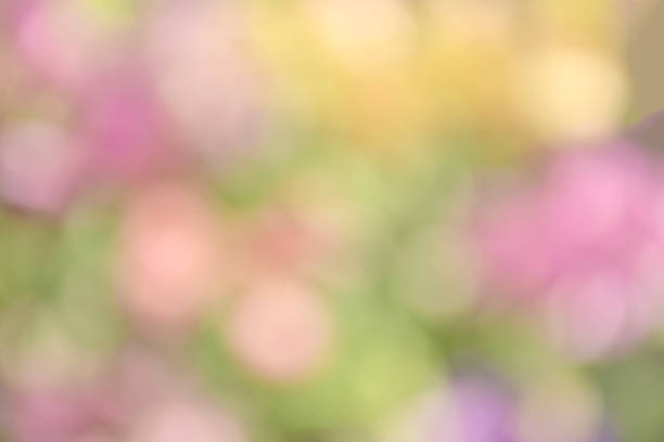 istock Abstract background with bokeh in pastel tone for spring, summer and blooming seasons. 1220870529