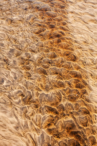 istock Detail of textural patterns in sand 1220871243