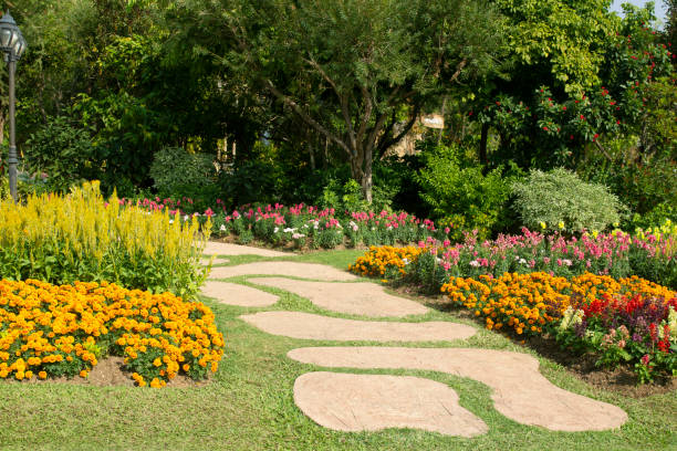 istock path way in garden in the flowers garden. 1220885010
