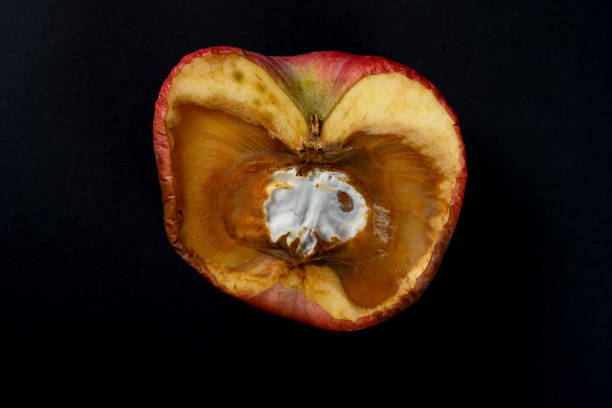 istock overripe apple with rotten core on black background 1220888404