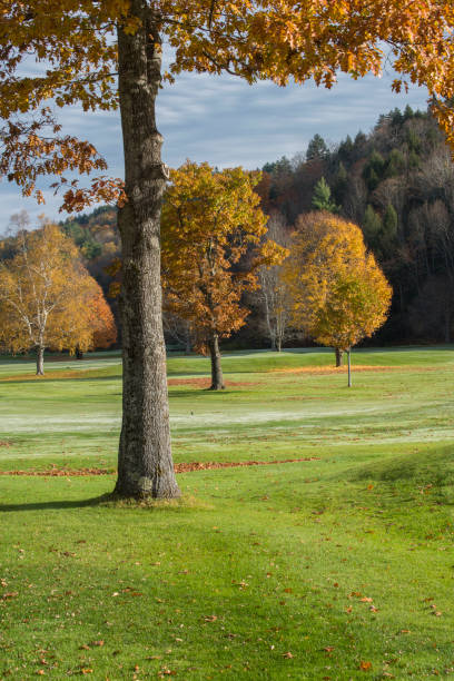 autumn mountain golf course - new jersey landscape putting green golf imagens e fotografias de stock