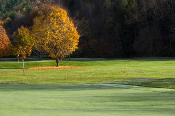 autumn mountain golf course - new jersey landscape putting green golf imagens e fotografias de stock