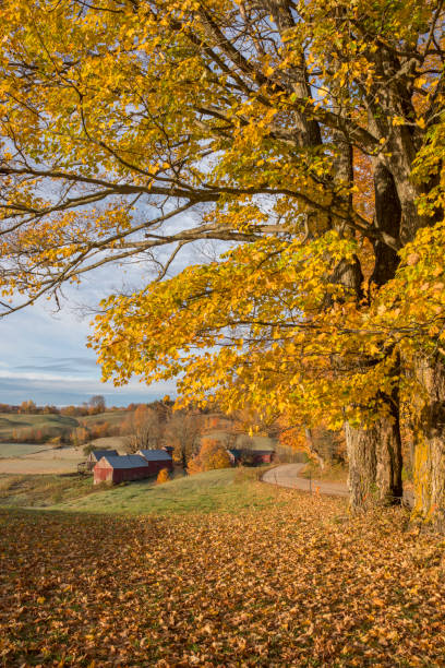 istock Vermont Autumn Farms 1220893491