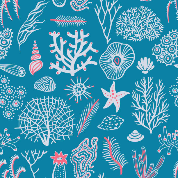 ilustraciones, imágenes clip art, dibujos animados e iconos de stock de patrón sin costuras en el mar con conchas marinas, corales, algas y estrellas de mar. antecedentes marinos. - plant animal backgrounds nature