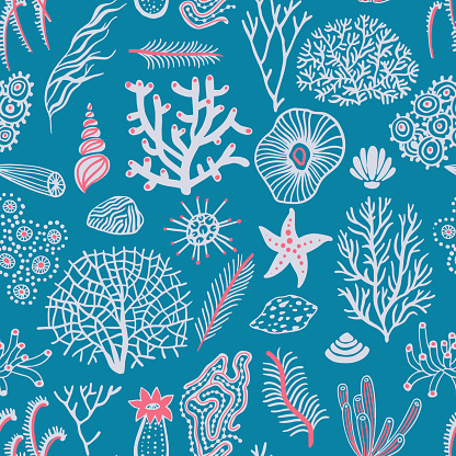 Sea set seamless pattern with seashells, corals, alga and starfishes. Marine background.