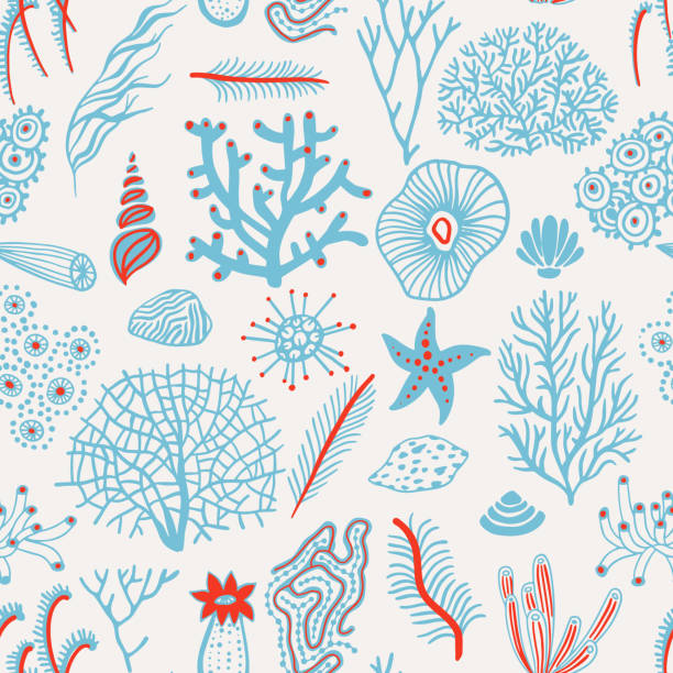 ilustraciones, imágenes clip art, dibujos animados e iconos de stock de patrón sin costuras en el mar con conchas marinas, corales, algas y estrellas de mar. antecedentes marinos. - plant animal backgrounds nature