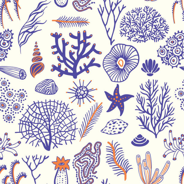 Sea set seamless pattern with seashells, corals, alga and starfishes. Marine background.