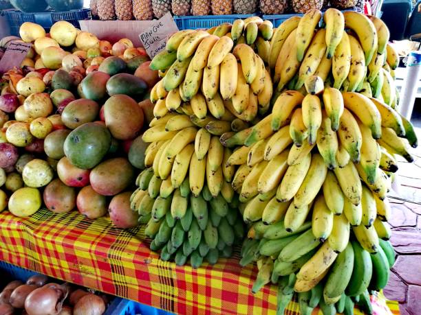 istock Caribbean fruits 1220905998