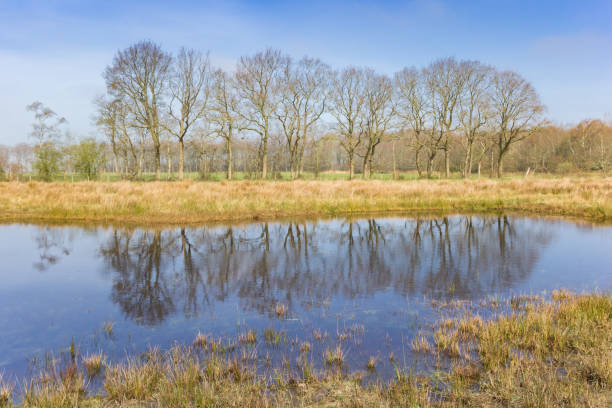 istock Little pond reflecting trees in the nature reserve Wildemerk 1220909068