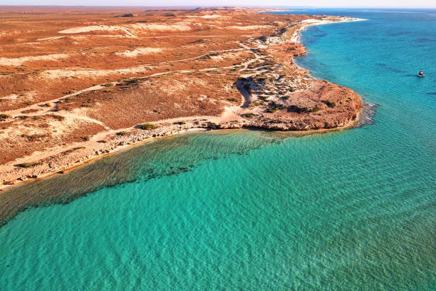 istock Coral bay destination in Western Australia 1220911143
