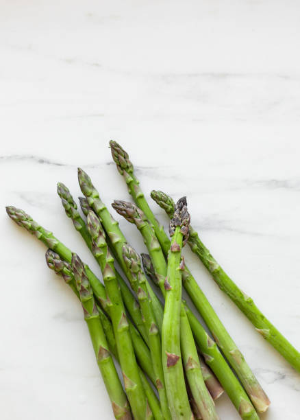 A bunch of freshly picked wild asparagus