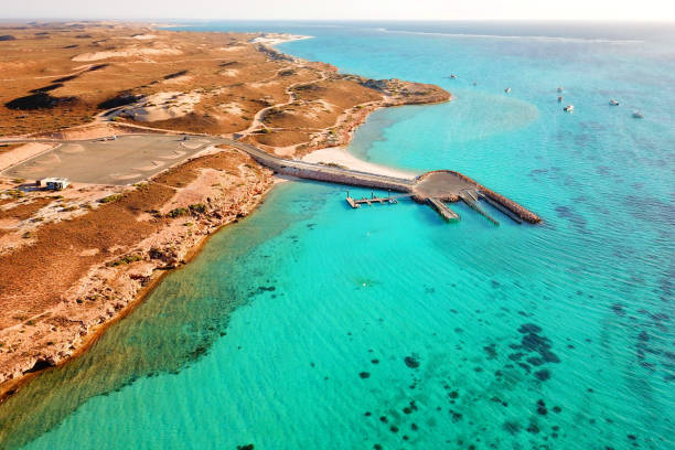 istock Coral bay destination in Western Australia 1220911257