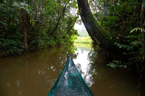 The boat ride on the water in the rainforest on the island of Madagascar\