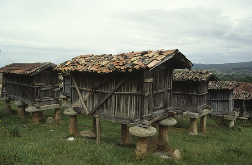 Horreo granary typical of Galicia in the village of A Merca in Galicia Spain
