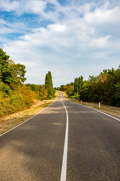 istock Black Sea. Road. Beach and forest. 1220921484