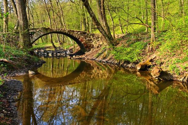 istock Beautiful old bridge over a stream in the woods. Natural green background from spring forest. 1220922945