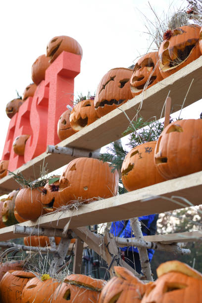 istock Halloween Pumpkin Carvings 1220924382