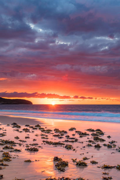 istock Cloudy Sunrise Colours Up at the Seaside 1220926146
