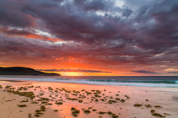istock Cloudy Sunrise Colours Up at the Seaside 1220926157