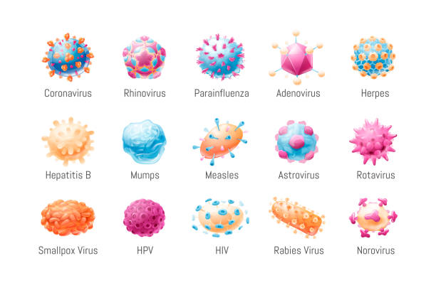 일반적인 바이러스의 벡터 세트입니다. 미생물학, 병원균의 모델. 만화 스타일, 고립 된 개체의 벡터 그림입니다. - rotavirus stock illustrations