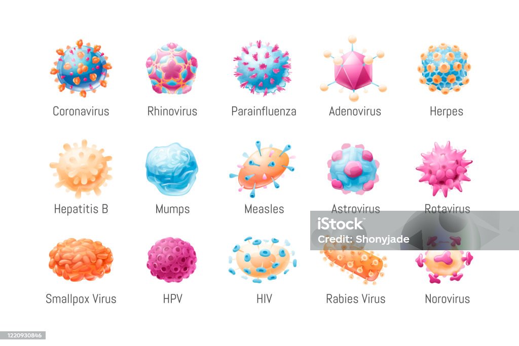 Vector set of common viruses. Microbiology, models of pathogens. Vector illustration in cartoon style, isolated objects. Virus stock vector