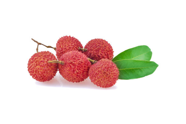 istock Fresh lychee with leaves isolated on white background. 1220931171