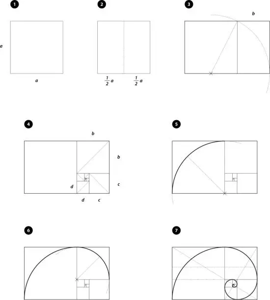 Vector illustration of Golden ratio, spiral construction. Line design, editable strokes. Mathematics formula, drawings