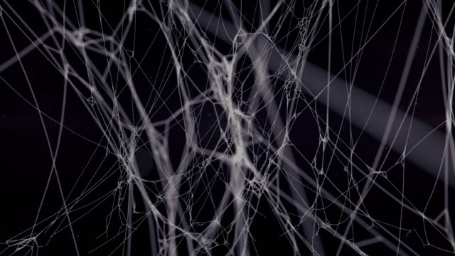 Mysterious spider net abstract composition surrounded by flying particles on dark background. 3d rendering digital animation. Mystic volume light. 4K, Ultra HD resolution
