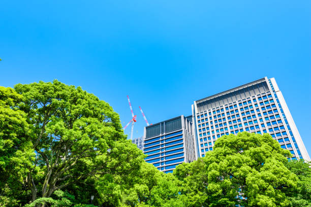 istock High-rise building in Tokyo. 1220935349