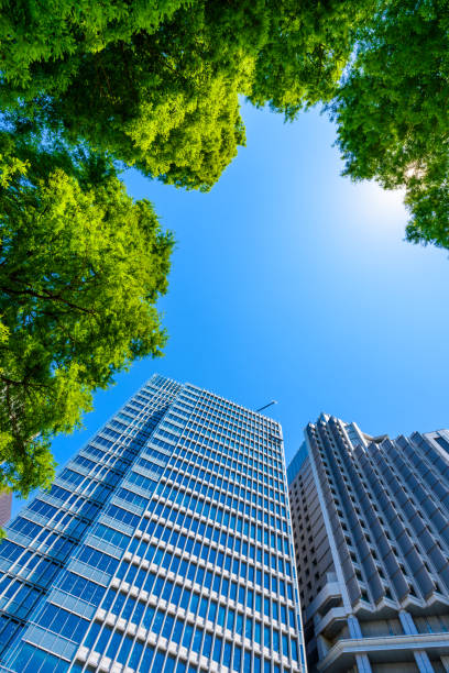 istock High-rise building in Tokyo. 1220935870