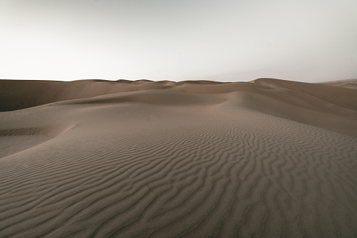 Rub' al Khali Desert Sand Dunes in atmospheric sunset light. Desert Dunes East of Liwa Oasis near the Border of Saudi Arabia and the United Arab Emirates. Emirate of Abu Dhabi, United Arab Emirates, Middle East