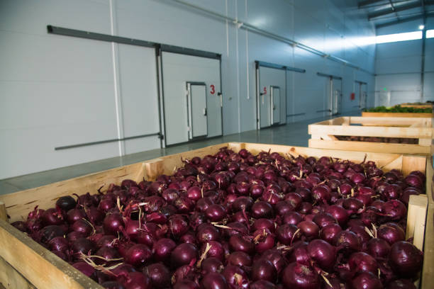 istock Fresh purple onions in the box 1220937941