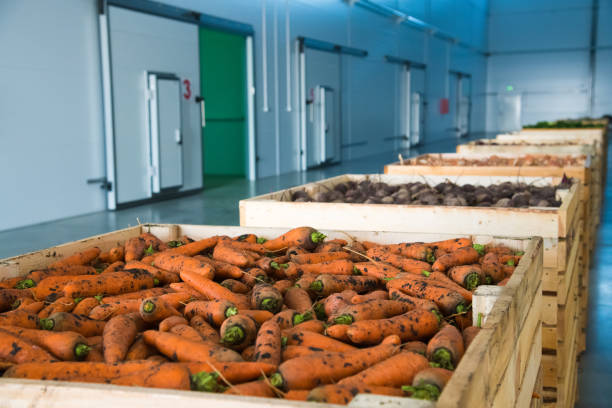 istock Fresh orange carrots in the box 1220942653