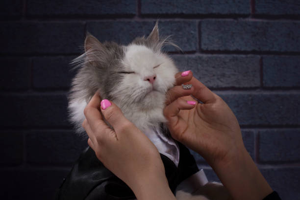 girl with beautiful manicure stroking a cat