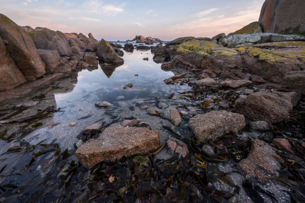 istock A beautiful moody early morning seascape 1220945407