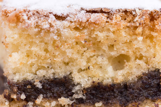 istock Grandmothers cake with poppy seed and shugar 1220945668