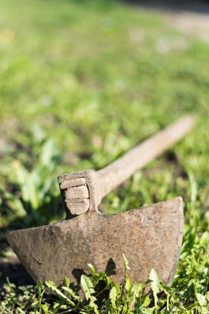 istock Old hoe on the grass and weeds 1220947800
